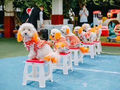 -胡姬港湾幼儿园(龙华丰谷园)