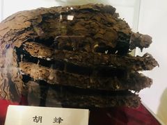 -上海昆虫博物馆