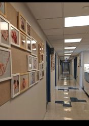 -杭州贝瑞斯美华妇儿医院·早孕·产检·儿科