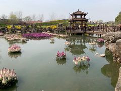 -南通洲际绿博园