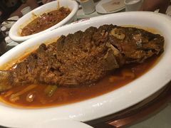 红烧黄河鲤鱼-阿五黄河大鲤鱼(纬三路店)
