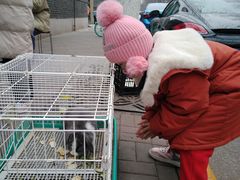 -大象厨房(重庆道店)