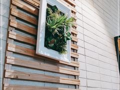 -先机泉水鸡汤(南山老君洞店)