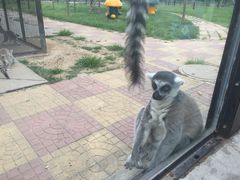 -石家庄市动物园