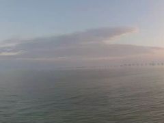 -大湾区中央湿地公园-十九涌