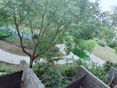 -上海崇明金茂凯悦酒店