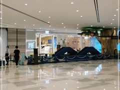 -奈雪的茶(国金中心店)