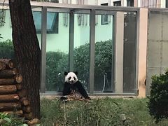 -荆州中山公园动物园