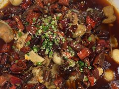 -万荣烤鸭店·北京菜(天坛店)