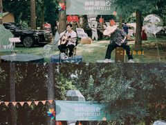 -南宁良凤江国家森林公园