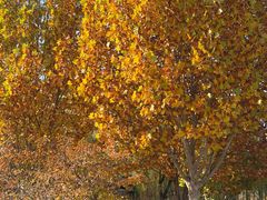 -回龙观体育文化公园