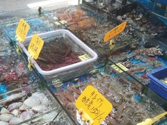 -船奇蒸汽海鲜·闽菜(八市海鲜总店)