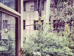 窗外-武汉探路者国际青年旅舍