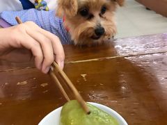 -面爸爸豆瓣抄手(贝森旗舰店)