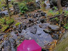 -云岫谷游猎自然风景区