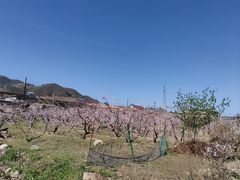 -河口景区