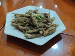 -品雅轩农家乐