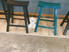 -百好乐宠物友好餐厅(朝外大街店)