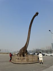 -恐龙探索乐园(磁器口店)