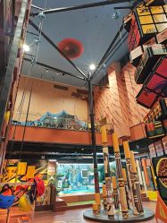 -卡通尼·Safari非洲探索乐园·生日会(金桥国际商业广场店)