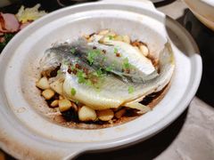 砂锅黄鱼-新白鹿餐厅(金鹰新街口店)