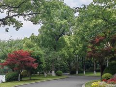 -浙江西子宾馆·瑶园咖啡厅