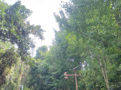 -成都老君山
