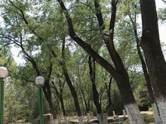 -滨河世纪广场公园