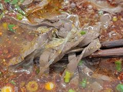 -惠记粉汤羊血(丰登路店)