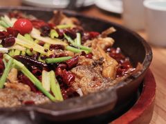 -老板恋上鱼(印象城店)