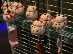 -猫咪博物馆(顶澳仔猫街店)