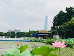 -金鸡湖桃花岛