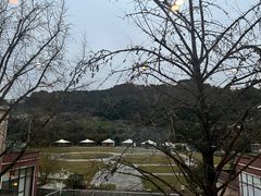 -重庆南山海昌汤都