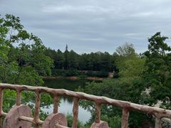 -嵖岈山风景区