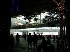 -Apple零售店(成都太古里店)