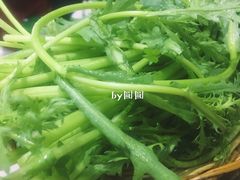 -牛叔鲜羊肉铜火锅(远东小区店)