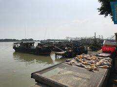 -南沙十九涌渔人码头-南门