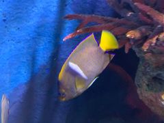 -暹罗海洋世界