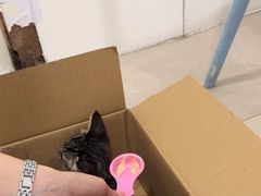 -佳雯宠物医院·皮肤科·内外科(春晓路分院)