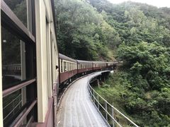 -热带雨林自然公园