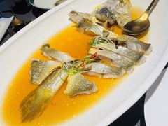 -福玺荟(外滩罗斯福店)
