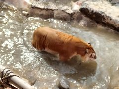 -济南野生动物世界