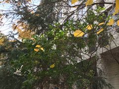 -山东大学(千佛山校区)