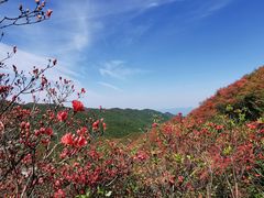 -大围山国家森林公园