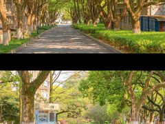-浙江大学(玉泉校区)