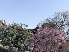 -西安青龙寺遗址景区