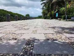 -福田红树林生态公园