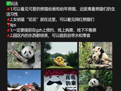 -春熙路步行街