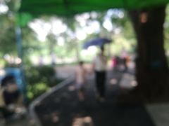 -晓港公园