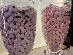 -北京威斯汀酒店